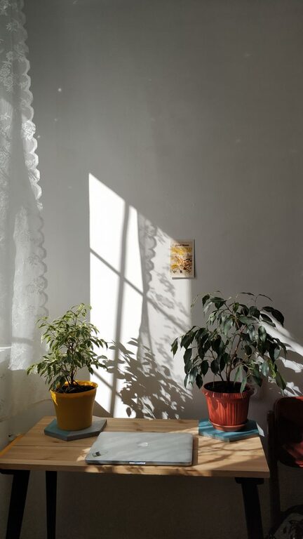 Post: Tips for creating a cozy and inviting home office space